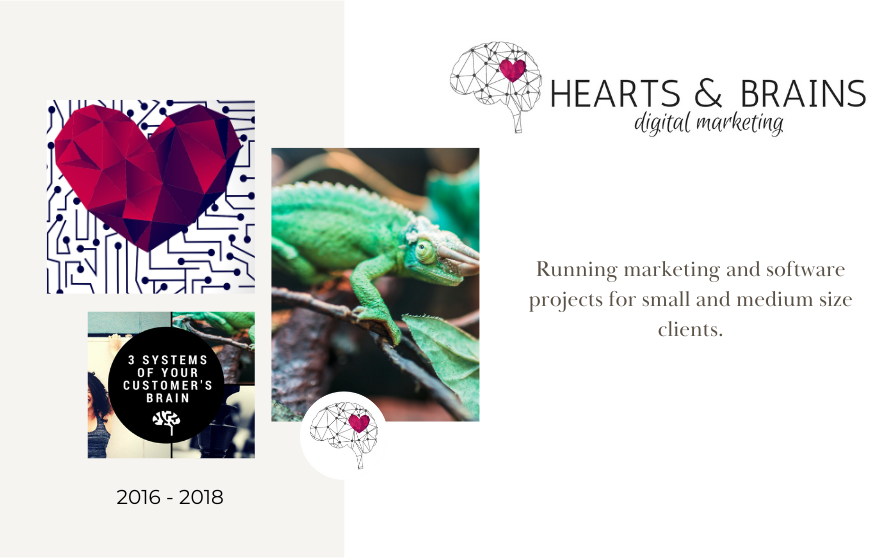 project manager at hearts and brains agency