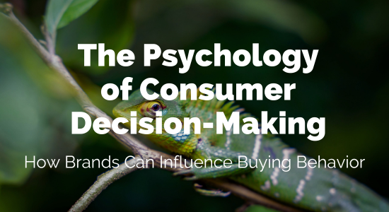 The Psychology of Consumer Decision-Making: How Brands Can Influence Buying Behavior